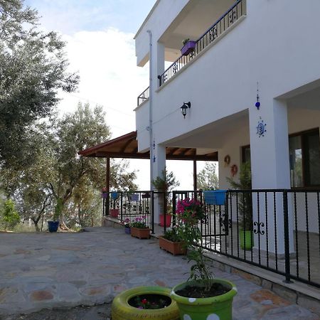 Kaymak Tepesi Tatil Evi Bed and Breakfast Kucukkuyu Buitenkant foto