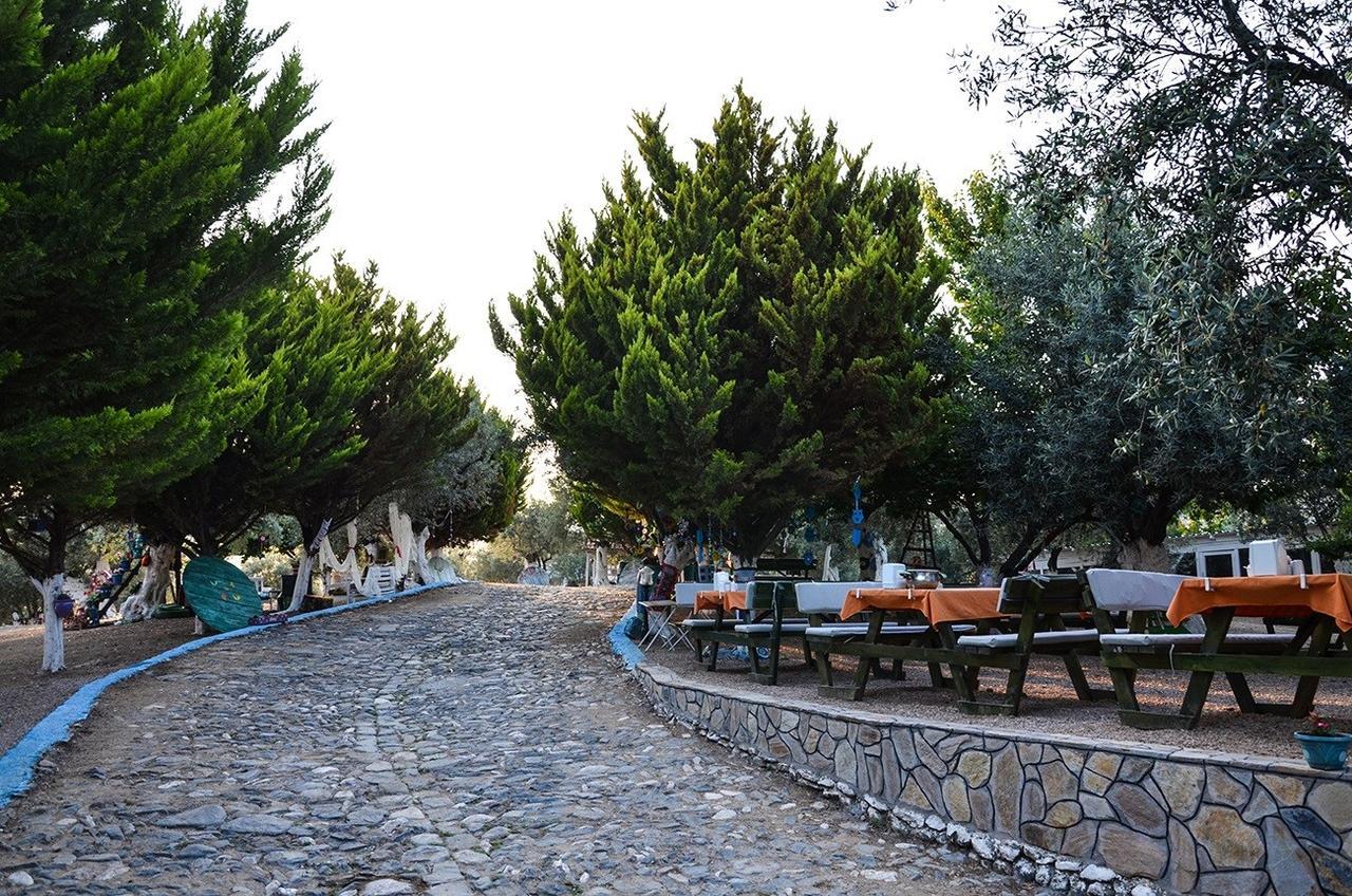 Kaymak Tepesi Tatil Evi Bed and Breakfast Kucukkuyu Buitenkant foto