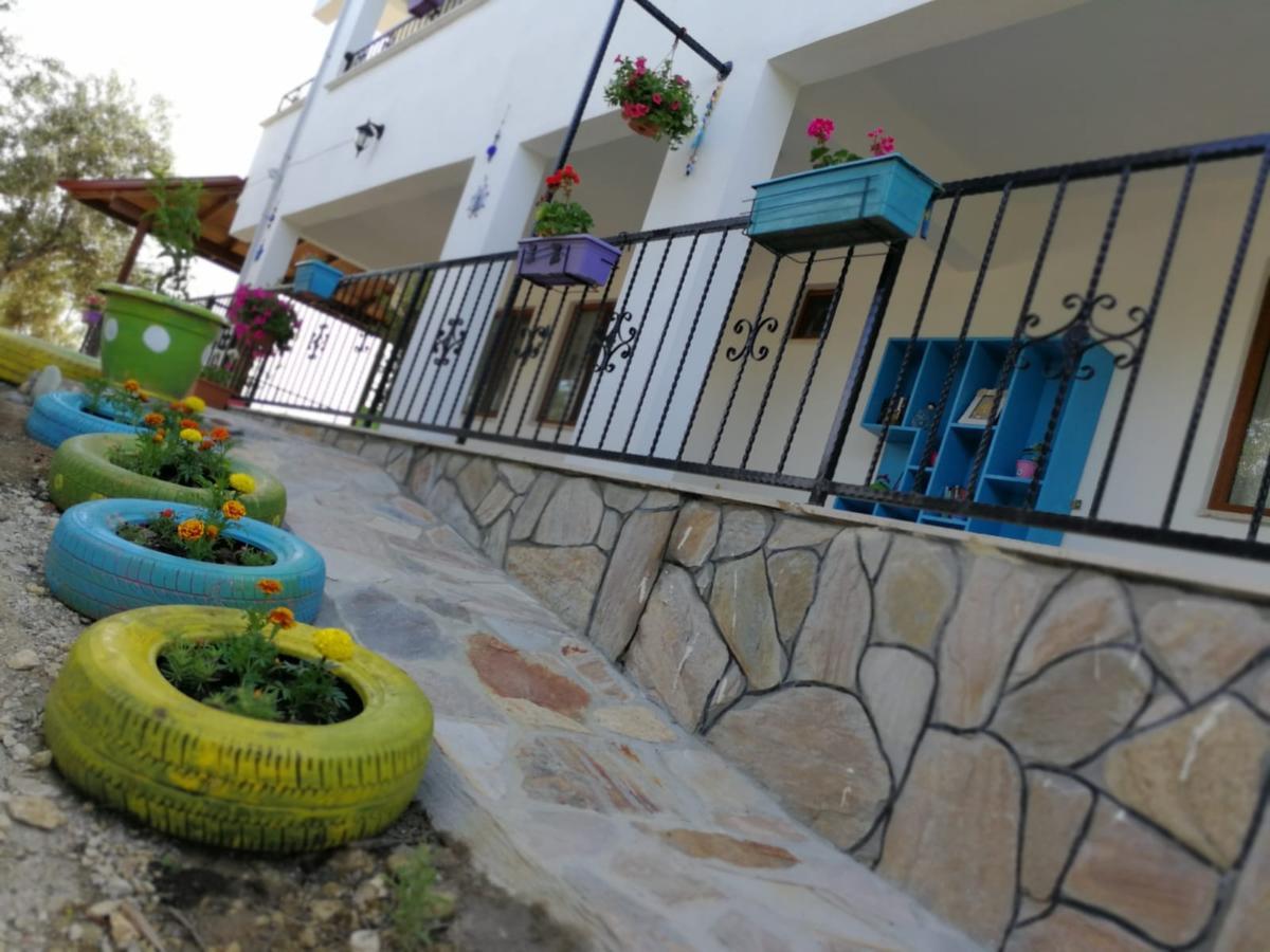 Kaymak Tepesi Tatil Evi Bed and Breakfast Kucukkuyu Buitenkant foto