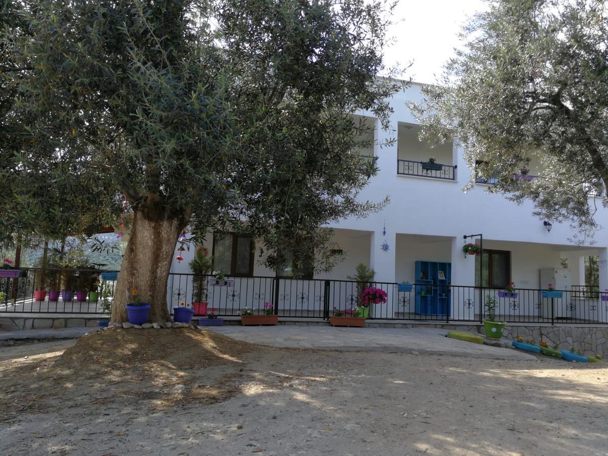 Kaymak Tepesi Tatil Evi Bed and Breakfast Kucukkuyu Buitenkant foto