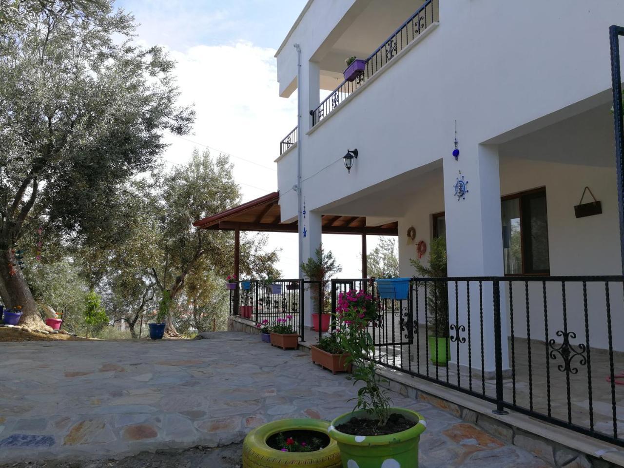 Kaymak Tepesi Tatil Evi Bed and Breakfast Kucukkuyu Buitenkant foto